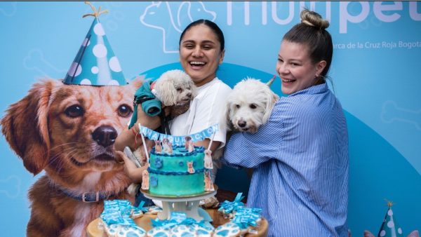 Revolución de "perrihijos" en Bogotá: El 67% de los hogares ya tiene una mascota