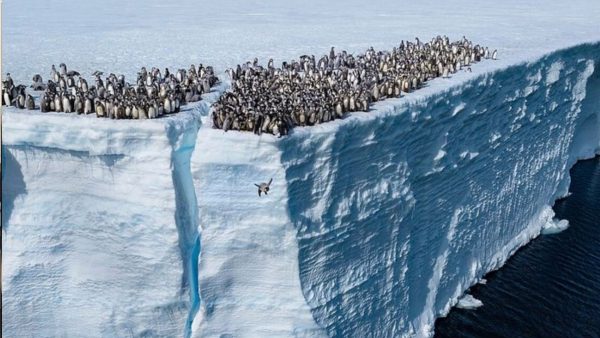 Asombroso pero real: 4 datos curiosos del mundo que desafían lo que creías saber