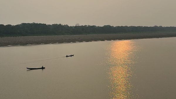 Amazonas colombiano: qué hacer, cómo viajar y cuánto cuesta