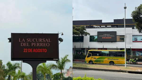 Ryan Castro en Cali y Bucaramanga: pistas de conciertos en 2026