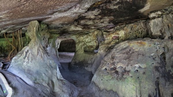 Los tesoros del Guaviare: Puertas de entrada a la magia de la selva