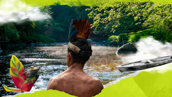 Conecta Guainía: el destino que sorprende a Colombia
