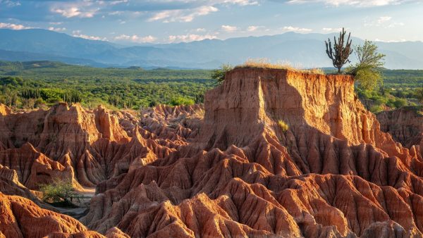 Del Desierto a los Cafetales: Una Crónica por los Pueblos que Hacen del Huila un Destino Mágico