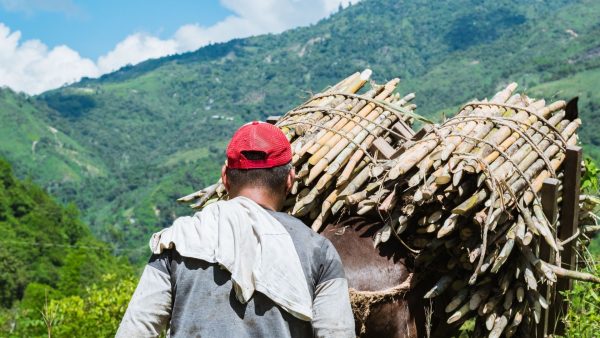 Las comunidades no son el paisaje, son las protagonistas de "Conecta el País de la Belleza"