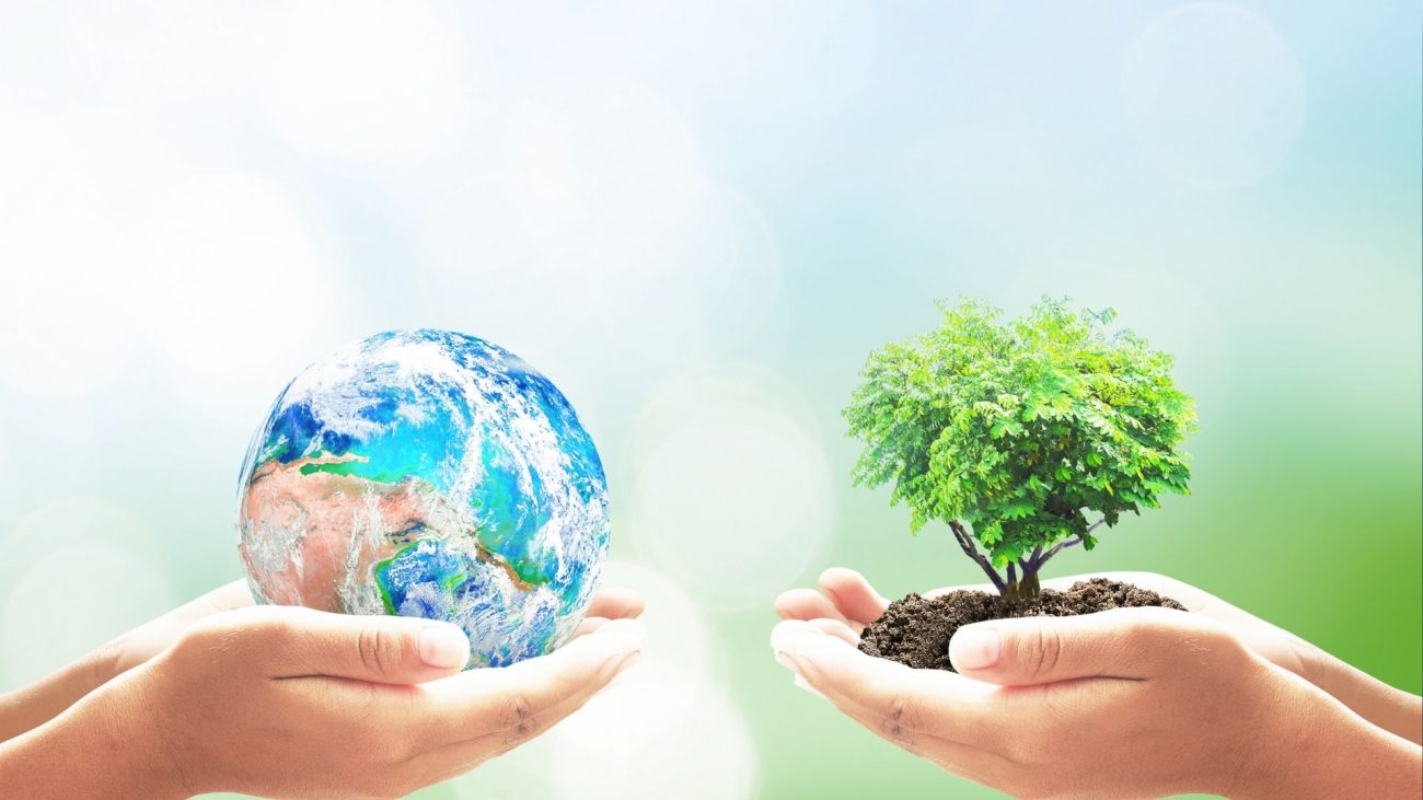 Bogotá se viste de verde: Agenda distrital para proteger la biodiversidad en el Día del Medio Ambiente