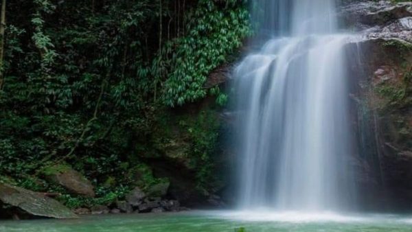 Caquetá: El secreto mejor guardado de la Amazonía colombiana