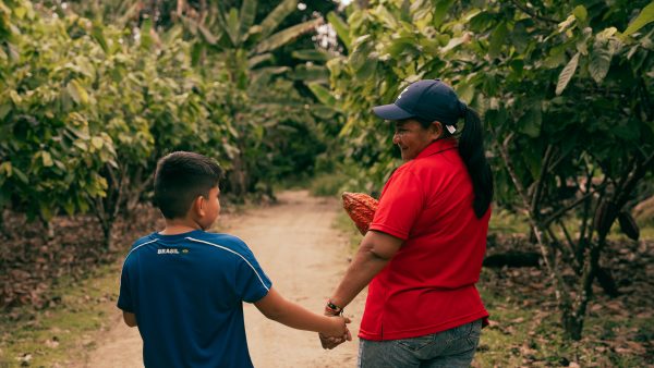 ONIC impulsa sistemas alimentarios indígenas con cacao sostenible
