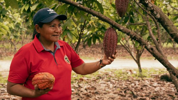 ONIC impulsa sistemas alimentarios indígenas con cacao sostenible