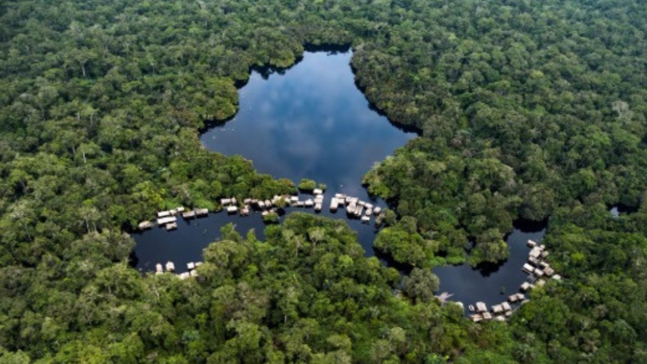 Los bosques de Colombia son clave para enfrentar la crisis climática