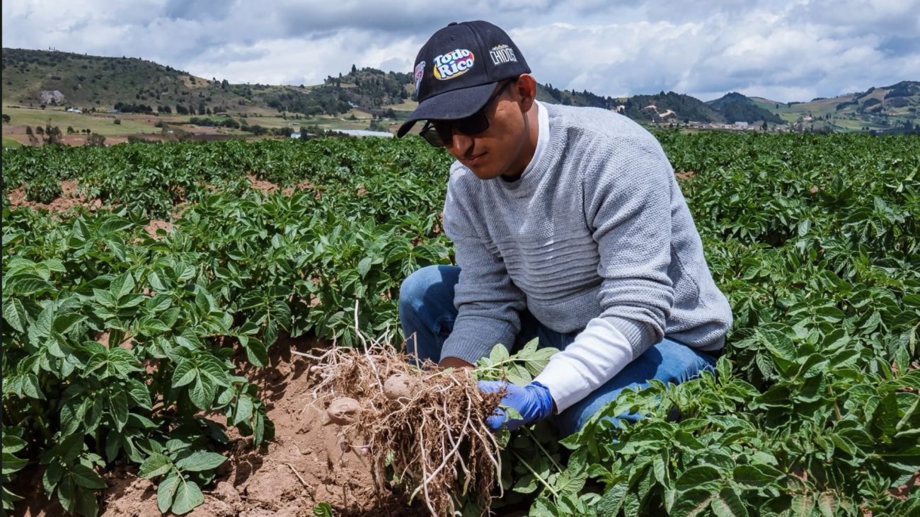 Comestibles Ricos fortalece su apuesta por la sostenibilidad en Colombia